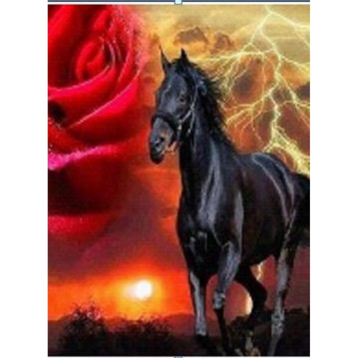 Набір для творчості алмазна вишивка картина мозаїка чорний кінь 30*40 см 61446_BGLD полотно на рамі
