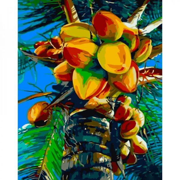 Живопис розпис картина за номерами Зелений кокос розміром 40х50 см (GS719) без лаку
