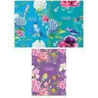 Зошит А4 40арк лінія Student A4-040-527L