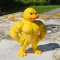 Сувенір іграшка 3D качка бодібілдер культурист фігурка 7 см пластик 3651 (відео в описі)