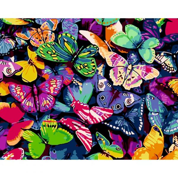 Живопис розпис картина за номерами Різнокольорові метелики розміром 40х50 см GS1123 без лаку