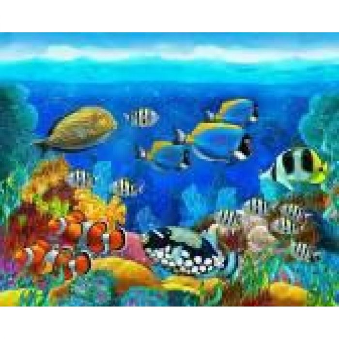 Набір для творчості алмазна вишивка картина мозаїка рибки 30*40 см 60882 полотно на рамі